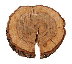 Reclaimed barn wood log 320w